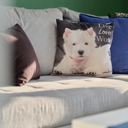 Lively In With Balcony And Desk By Renters Apartment Breslau