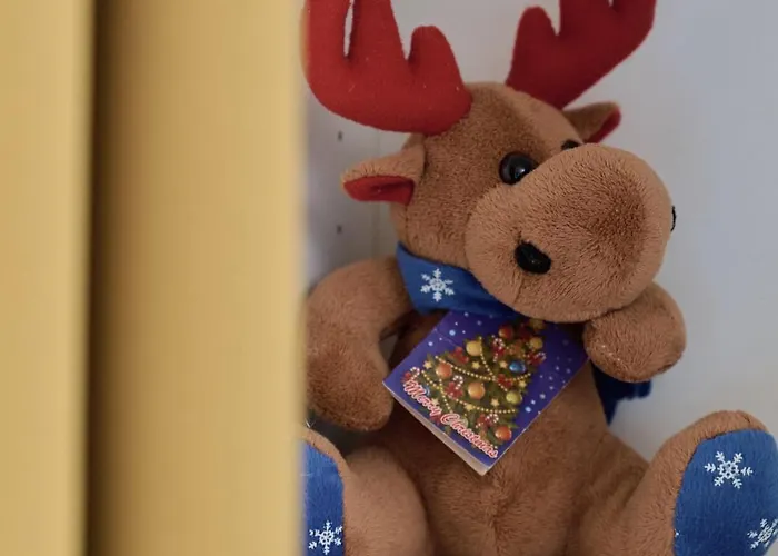 Apartman Lively In With Balcony And Desk By Renters